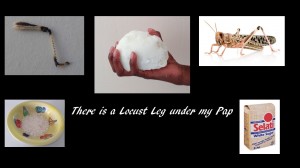 There is a Locust Leg under my Pap image